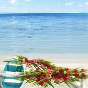 Meet your Posher, Ann